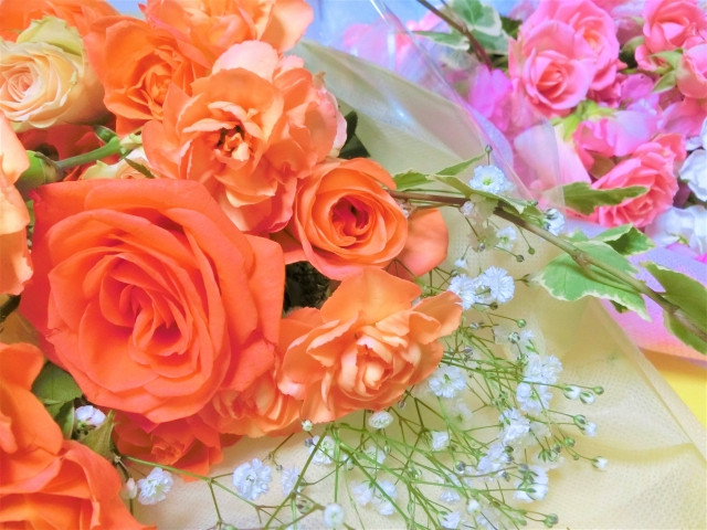 お花見の季節で花咲き乱れる 癒し効果を別のところに 大阪の書道教室 青霄書法会 せいしょうしょほうかい ブログはこちら