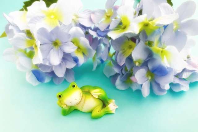梅雨の季節といえば…ゲコげこっ「蛙」は幸運のシンボル☆折り紙でカエルを折る♪